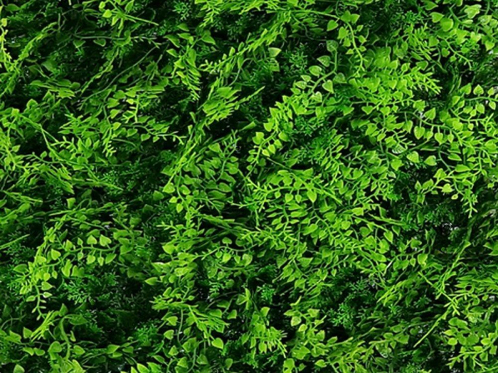 Vegetație moringa – rezistență la foc clasa C [2]