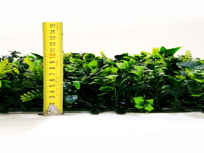 Vegetație de iederă - rezistență la foc clasa C [2]