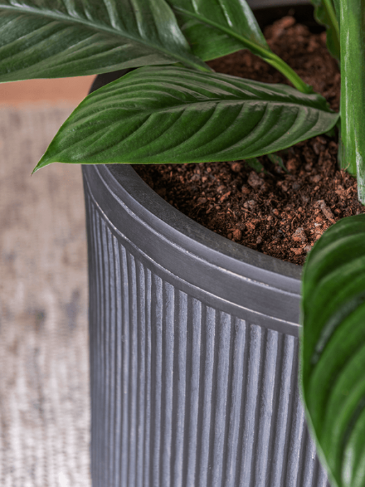 Ghiveci VERTICAL RIB antracit 30 x 31 [3]