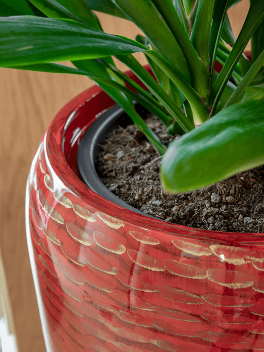 Ghiveci VOGUE AMFI roșu (cu liner) 43 x 68 [3]