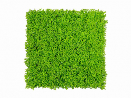 Plante Artificiale - Asplenium viride - rezistență la foc clasa B