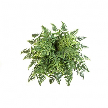 Plante Artificiale - Athyrium