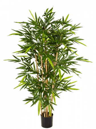 Bambusi artificiali - Bambus artificial 150 cm