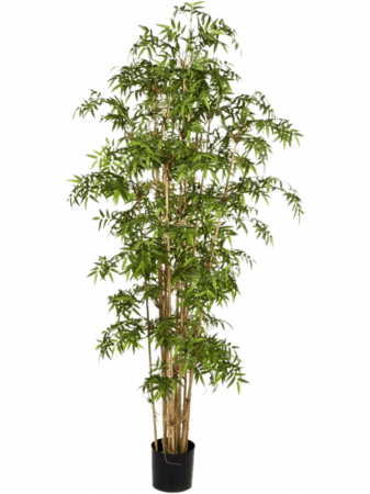 Bambusi artificiali - Bambus japonez artificial 140 cm