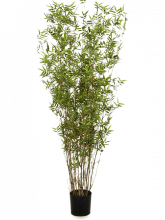 Bambusi artificiali - Bambus oriental artificial 130 cm