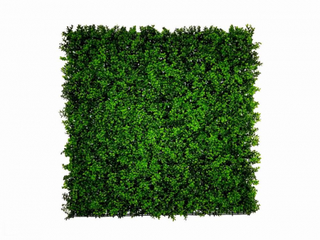 Panouri verzi artificiale - Buxus Japonicus