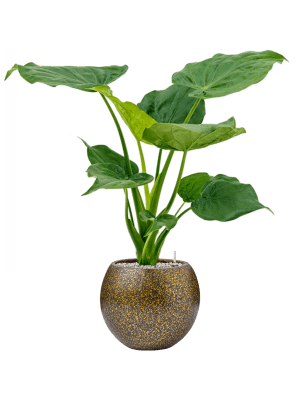 Ghiveci CAPI Lux Terrazzo 28 x 26 [1]