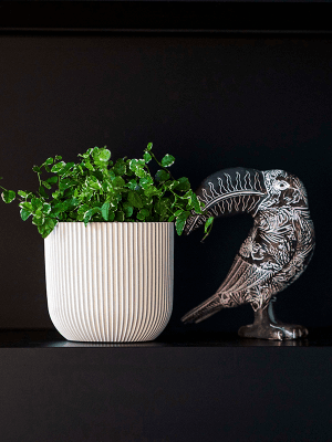 Ghiveci CAPI Nature Groove Special 17 x 15 [1]