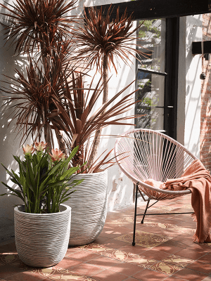 Ghiveci CAPI Nature Rib NL 43 x 41 [1]