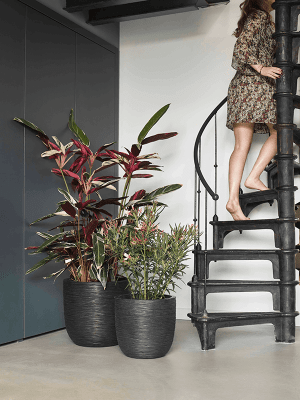 Ghiveci CAPI Nature Rib NL 43 x 41 [1]