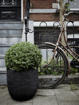 Ghiveci CAPI Nature Rib NL 43 x 41 [3]