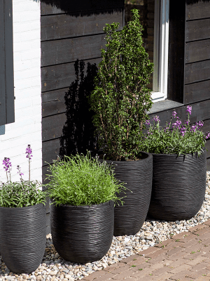 Ghiveci CAPI Nature Rib NL 35 x 34 [3]