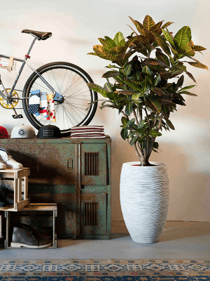 Ghiveci CAPI Nature Rib NL 38 x 58 [1]