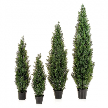 Plante decorative UV - Cedru verde UV