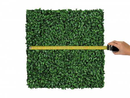 Buxus - rezistență la foc clasa C [3]