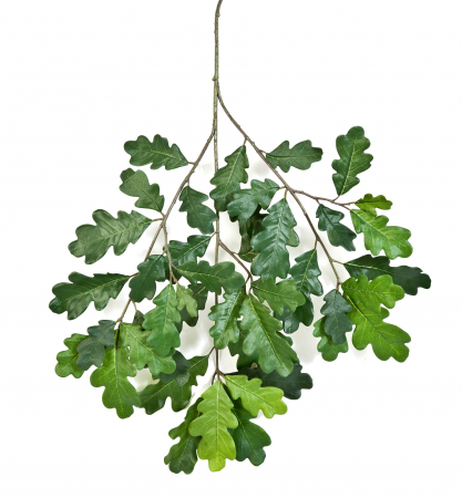 Plante ignifuge artificiale - Crenguță de Stejar Comun