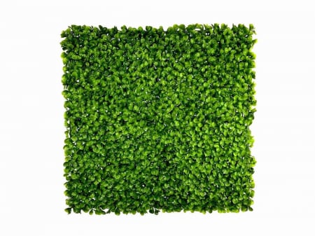 Panouri verzi artificiale - Dwergpeper Peperomia