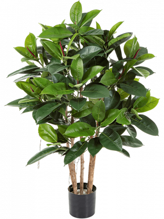 Ficusi artificiali - Ficus Elastica artificial 120 cm