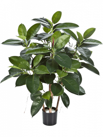 Ficusi artificiali - Ficus Elastica artificial 90 cm