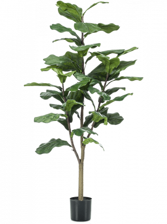 Ficusi artificiali - Ficus Lyrata artificial 120 cm