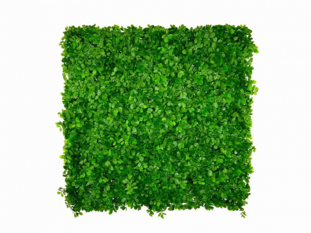 Panouri verzi artificiale - Ficus Microcarpa