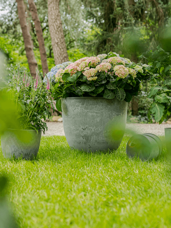 Ghiveci ARTSTONE Bola 23/20 cm, gri [2]