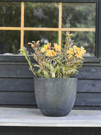 Ghiveci ARTSTONE Bola 45/38 cm, negru [2]