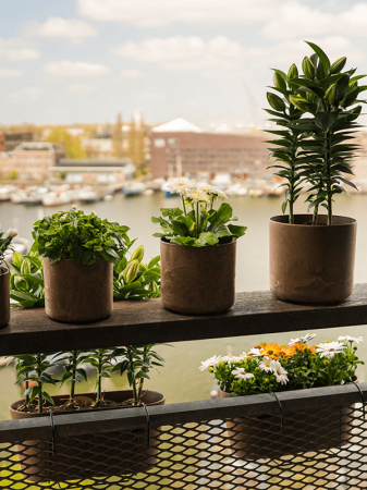 Ghiveci ARTSTONE Claire 55 cm, stejar [1]