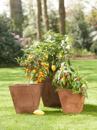 Ghiveci ARTSTONE Ella 15 cm, stejar [2]