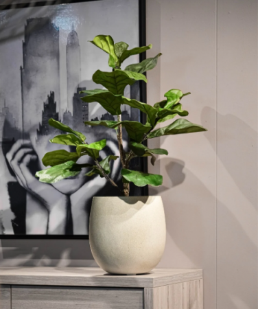 Ghiveci GRIGIO Balloon 55 [1]