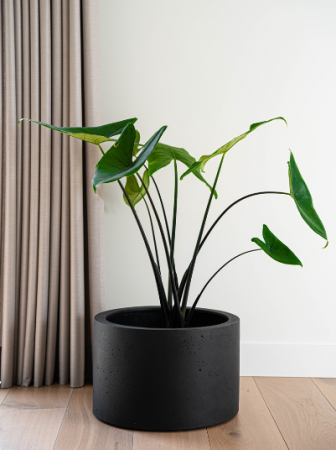 Ghiveci GRIGIO Cylinder 60 [1]