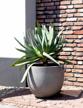 Ghiveci GRIGIO New Egg Pot 65 [1]