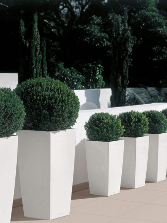 Ghiveci LECHUZA Premium Cubico Alb 30 x 30 / 56 [3]