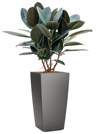 Ghiveci LECHUZA Premium Cubico Antracit 30 x 30 x 56 [3]