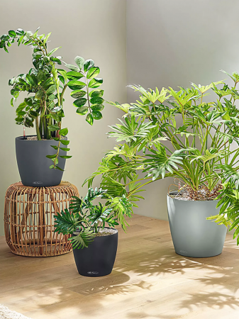 Ghiveci LECHUZA Classico Color Eco Gri 19 x 17 [2]