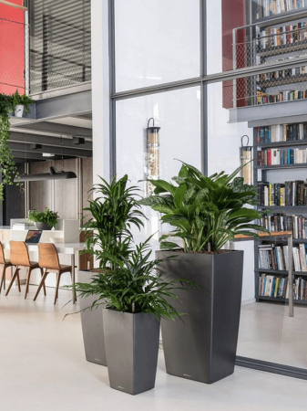 Ghiveci LECHUZA Premium Cubico Antracit 30 x 30 x 56 [2]