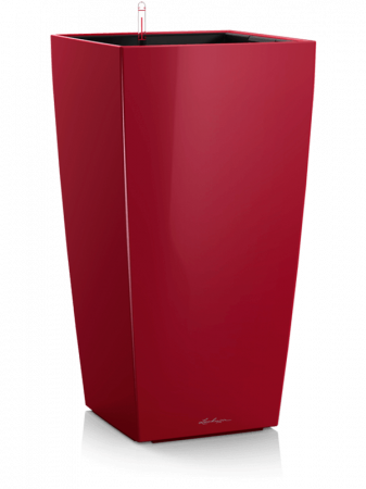 Ghivece de interior - Ghiveci LECHUZA Premium Cubico Roșu 40 x 40 / 75