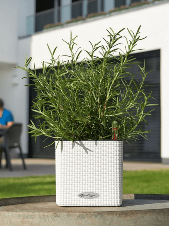 Ghiveci LECHUZA Cube Color Alb 14 x 14 / 14 [2]