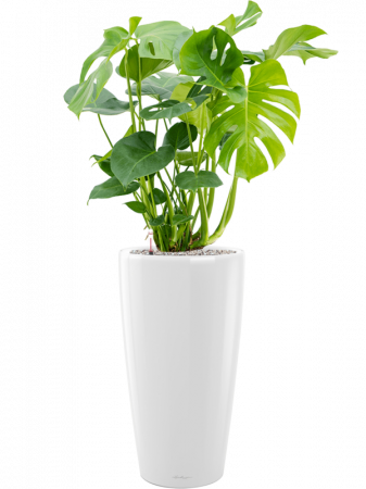 Ghiveci LECHUZA Premium Rondo Alb 32 x 56 [3]