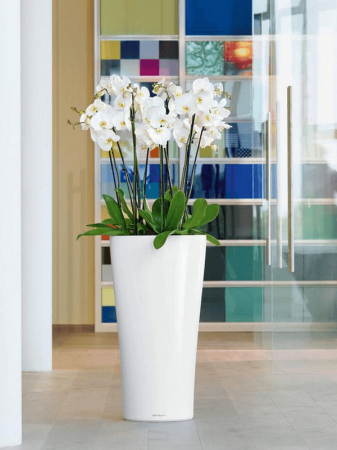 Ghiveci LECHUZA Premium Delta Alb 30 x 56 [2]