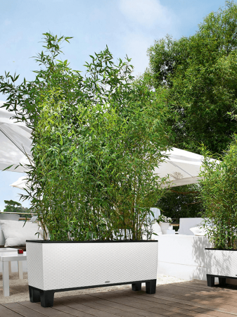 Ghiveci LECHUZA Trio Cottage Alb 130 x 42 / 44 [2]