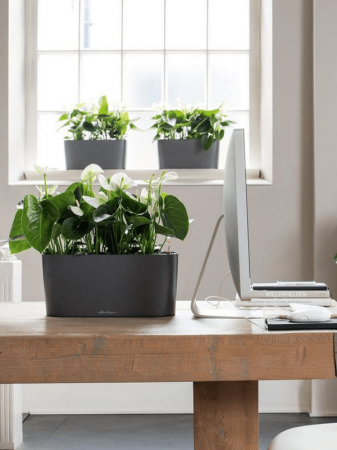 Ghiveci LECHUZA Premium Delta Antracit 40 x 15 / 18 [2]