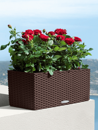 Ghiveci LECHUZA Balconera Cottage Mocha 50 x 19 / 19 [2]