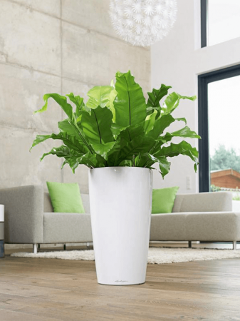 Ghiveci LECHUZA Premium Rondo Alb 32 x 56 [2]