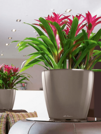 Ghiveci LECHUZA Classico LS Diverse 35 x 33 [2]