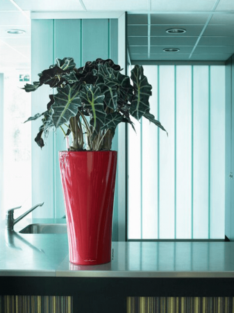 Ghiveci LECHUZA Premium Delta Roșu 30 x 56 [1]