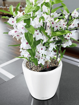 Ghiveci LECHUZA Premium Classico LS Alb 21 x 20 [2]