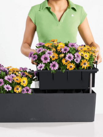 Ghiveci LECHUZA Balconera Color Ardezie 80 x 19 / 19 [2]