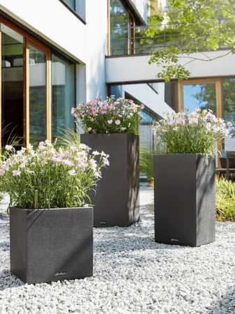 Ghiveci LECHUZA Canto Stone Sand Graphite Black 30 x 30 / 56 [2]