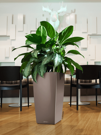 Ghiveci LECHUZA Premium Cubico Taupe 40 x 40 x 75 [2]